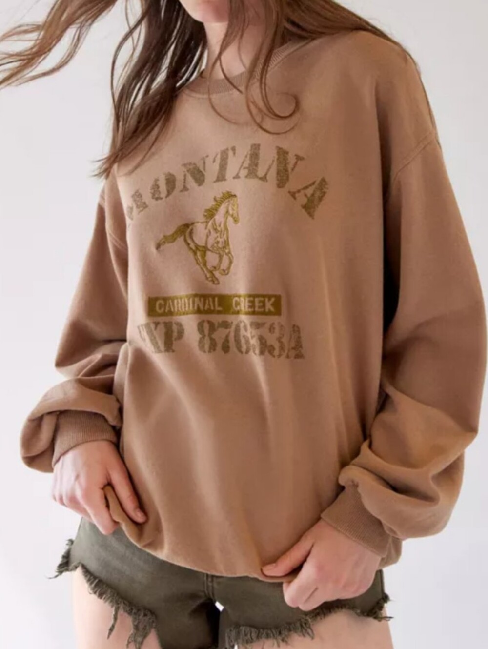 URBAN OUTFITTERS brown Montana crew neck sz S